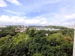 Blk 301 Clementi Haven (Clementi), HDB 4 Rooms #528662161